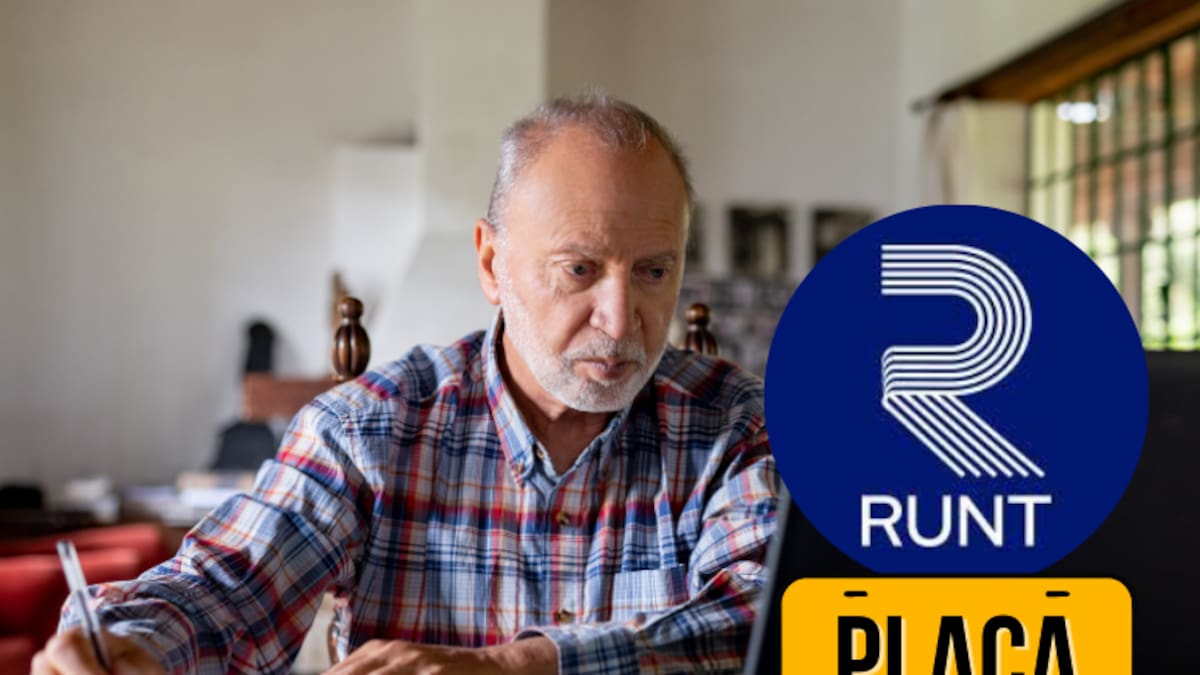 ¿Cómo saber el dueño de un carro con la placa? Conozca el estado del vehículo y más