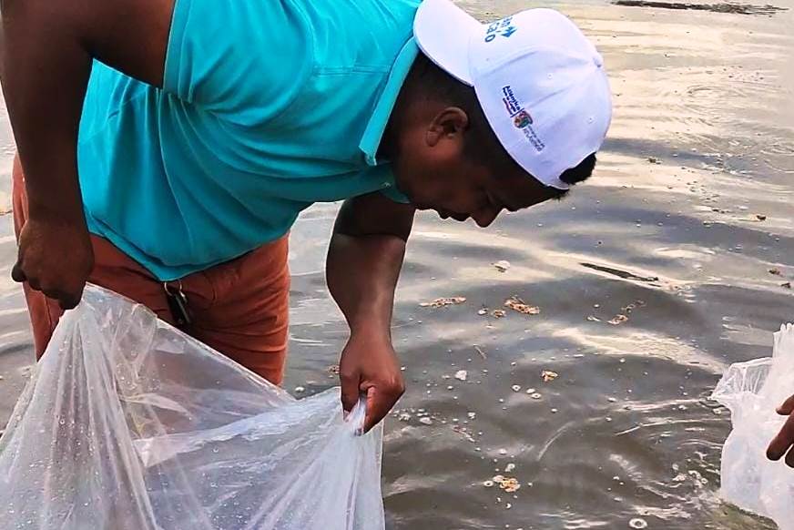 Arnaldo Beltrán Fontalvo