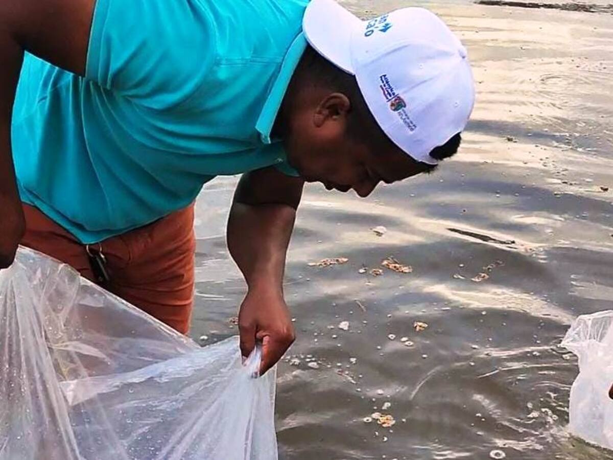 Ciudadanos siembran 66 mil alevinos en reservorios de Santa Catalina