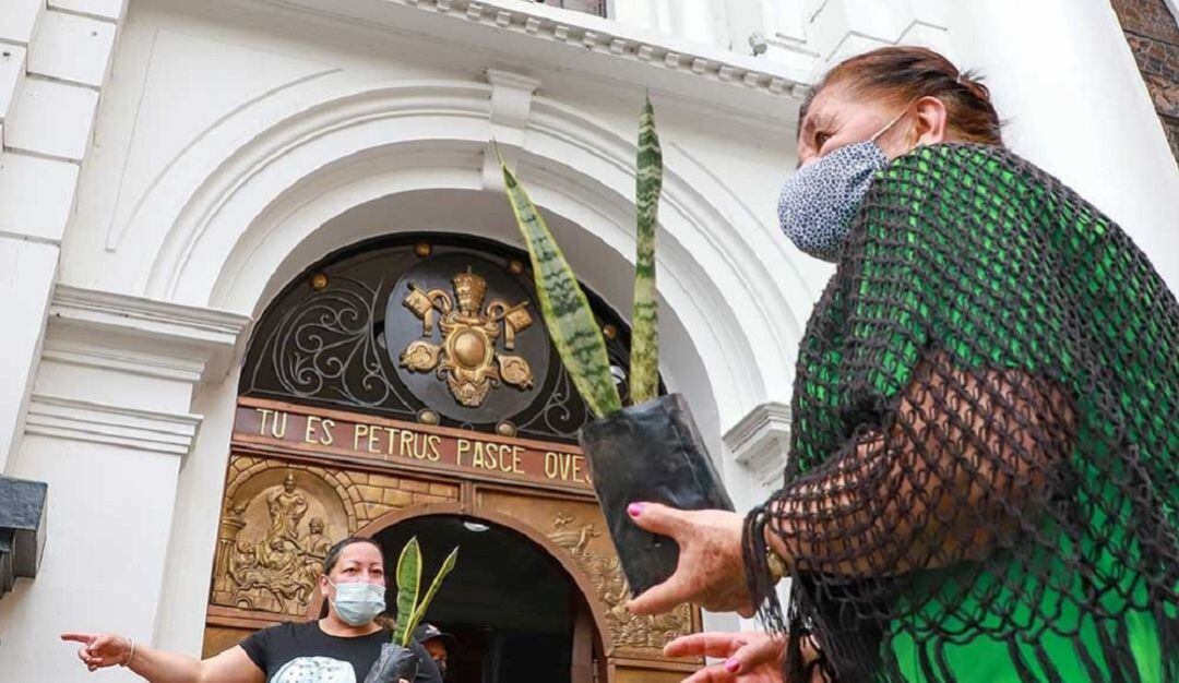 Dagma entregó plantas ornamentales