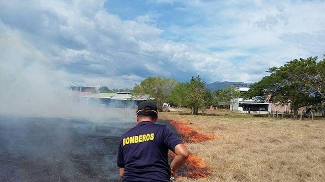 Fenómeno de El Niño afecta páramos y bosques en Manizales y el departamento de Caldas. Foto: Bomberos