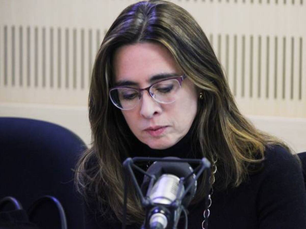 "El debate sobre la participación política de jefes de las Farc hay que darlo con serenidad"