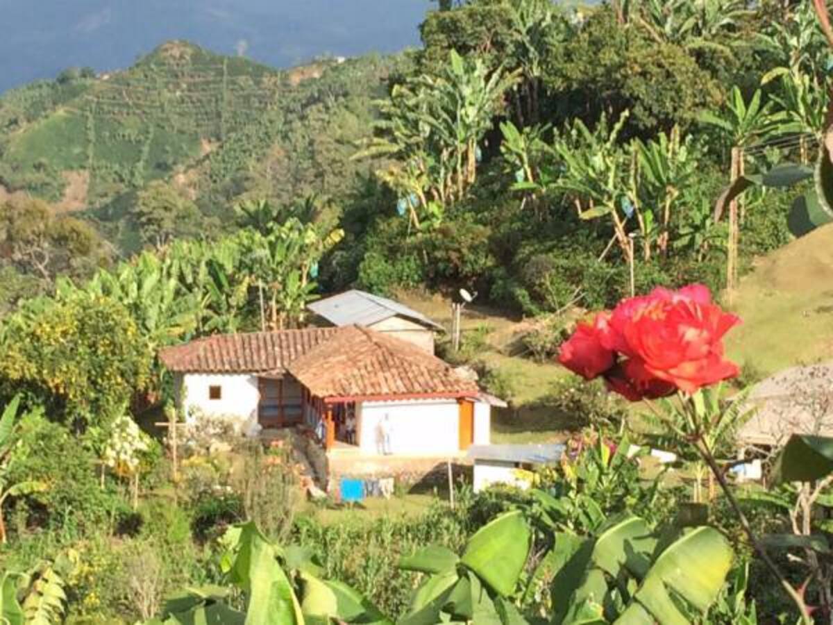 Diego Vásquez, director de Anato en en Eje Cafetero habla del incremento de turistas extranjeros en Colombia
