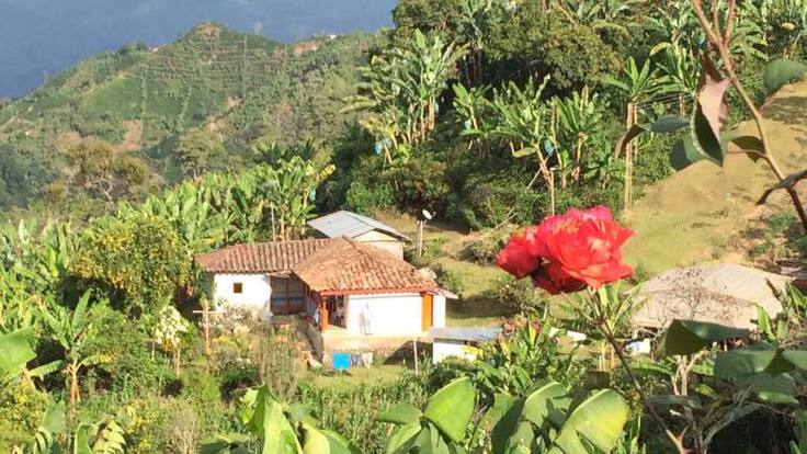 Diego Vásquez, director de Anato en en Eje Cafetero habla del incremento de turistas extranjeros en Colombia