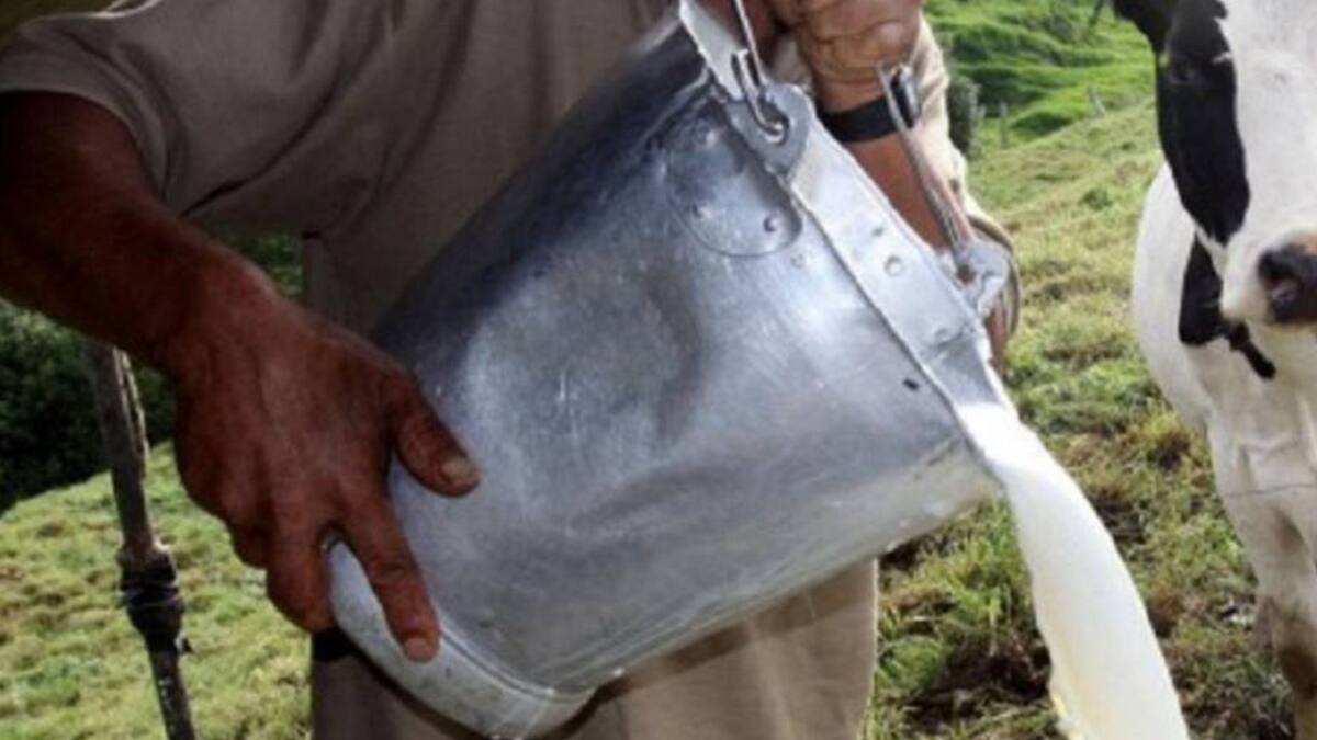 Director del comité de Ganaderos del Quindío, Jorge tejada