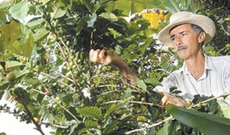 Aunque el gobierno nacional entregó fertilizantes, sin agua los mismos no surten efectos.