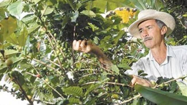 Aunque el gobierno nacional entregó fertilizantes, sin agua los mismos no surten efectos.