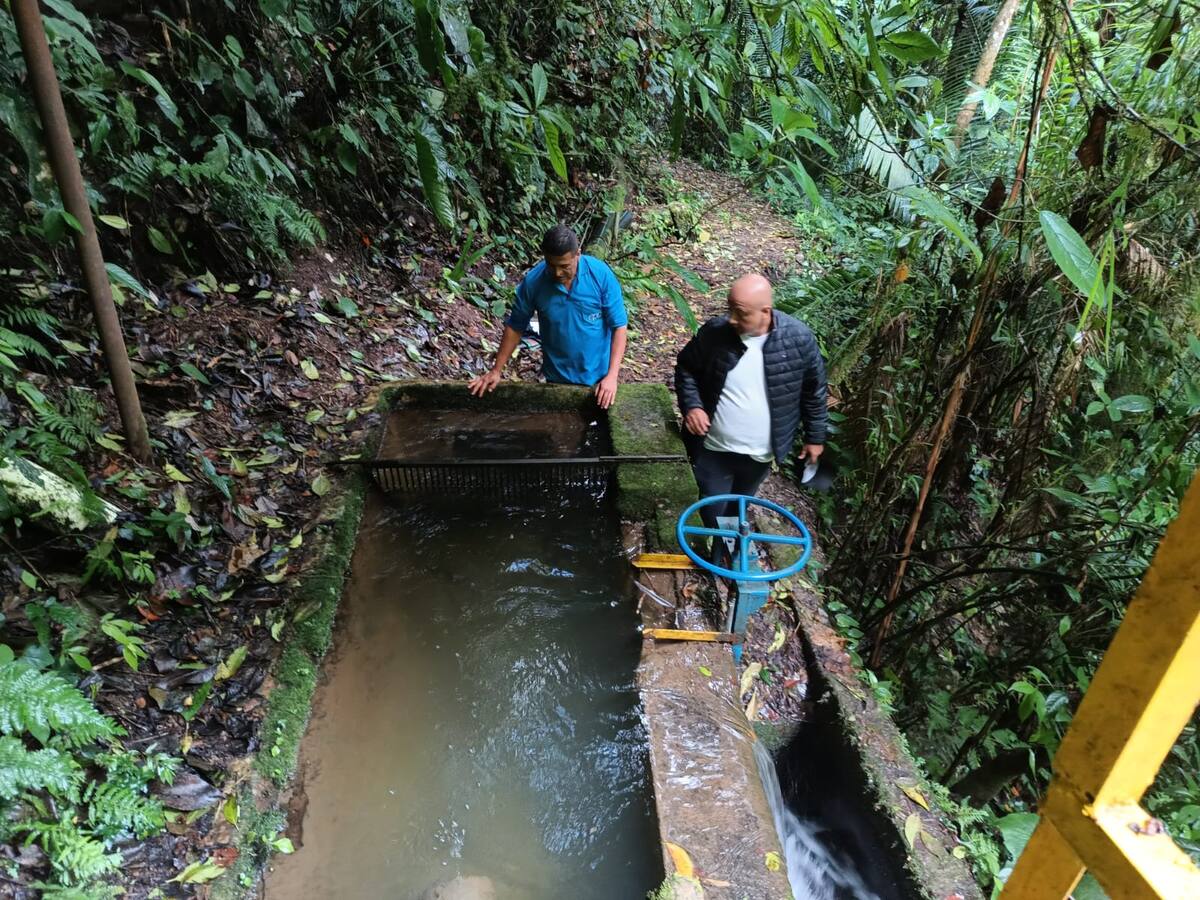 ¿Cómo está servicio de agua en Salento, Filandia, Circasia y Montenegro en Semana Santa?