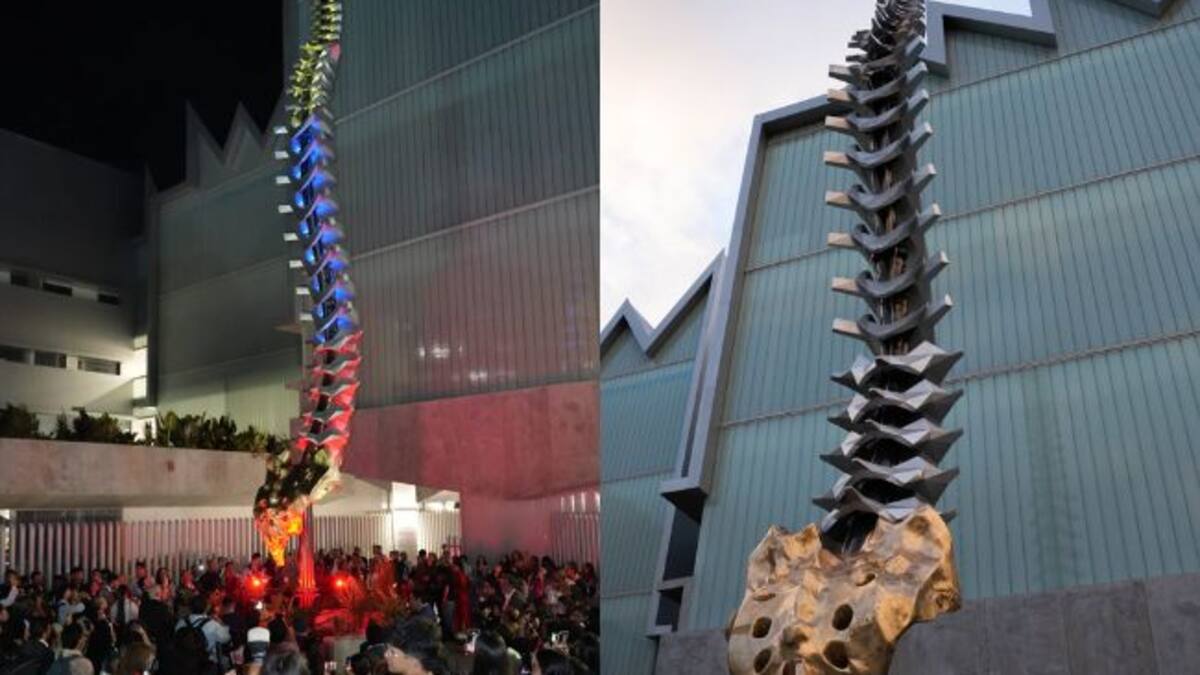 Jürg Niederbacher Velásquez, decano facultad de salud UIS
