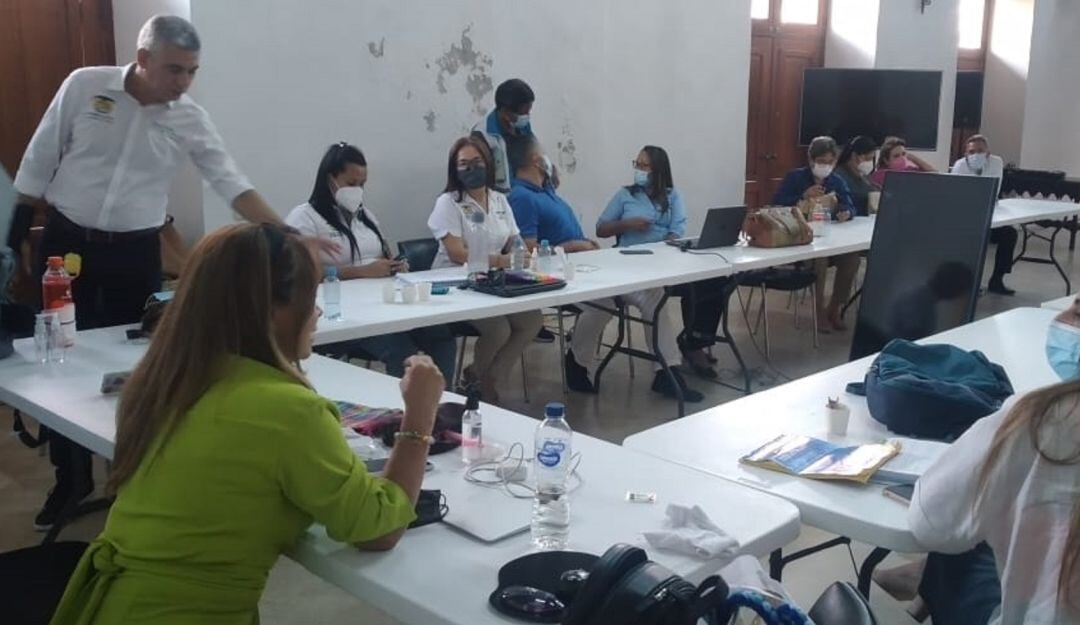 Los avances fueron evaluados en reunión con asesores del Ministerio de Salud