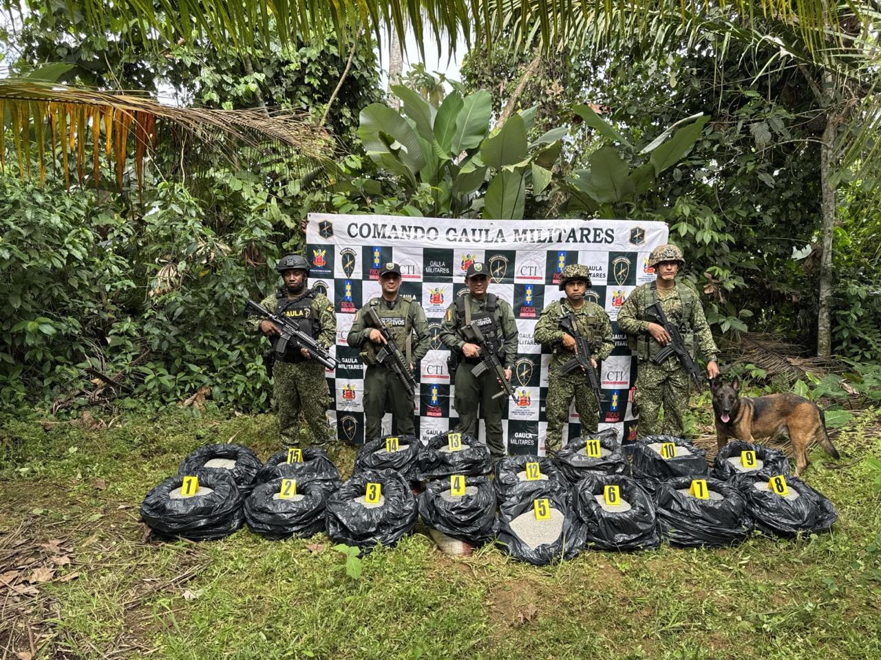 Cortesía: Fuerzas Militares