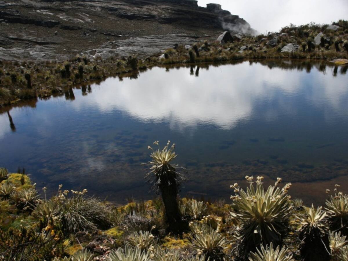 Gobierno Nacional logra acuerdo con nación Uwa sobre el Cocuy