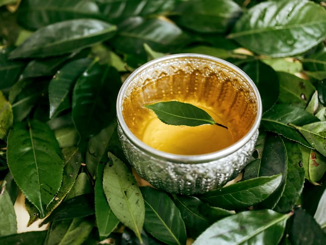 Plantas que curan: Cómo complementar tratamientos contra el cáncer de forma natural