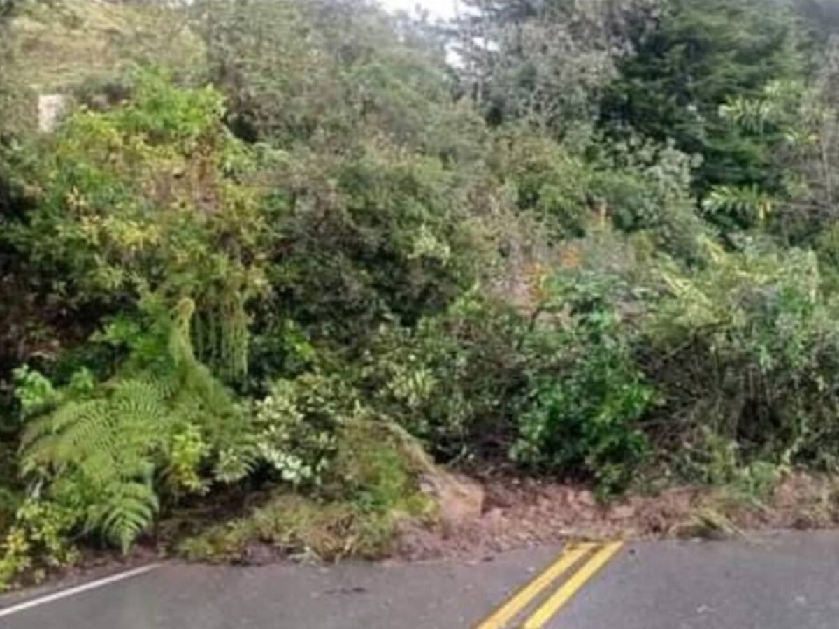 Incomunicado Norte de Santander con el interior del país