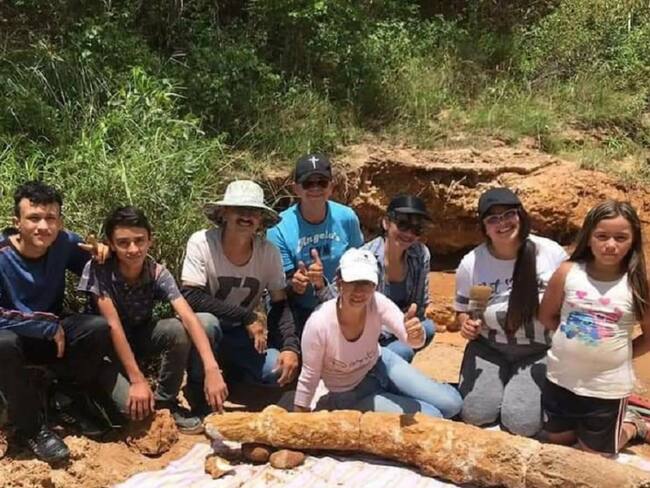 Colmillo de mastodonte encontrado en Los Patios