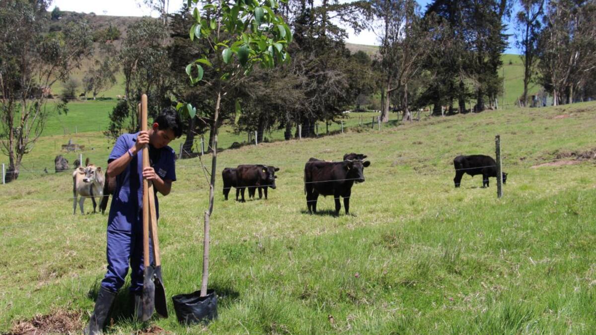 Preparando administradores para un mejor futuro del campo