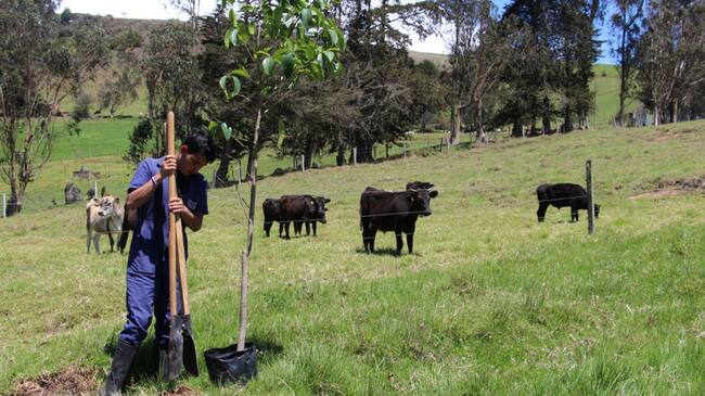 Profesionales para gerenciar la producción agropecuaria.