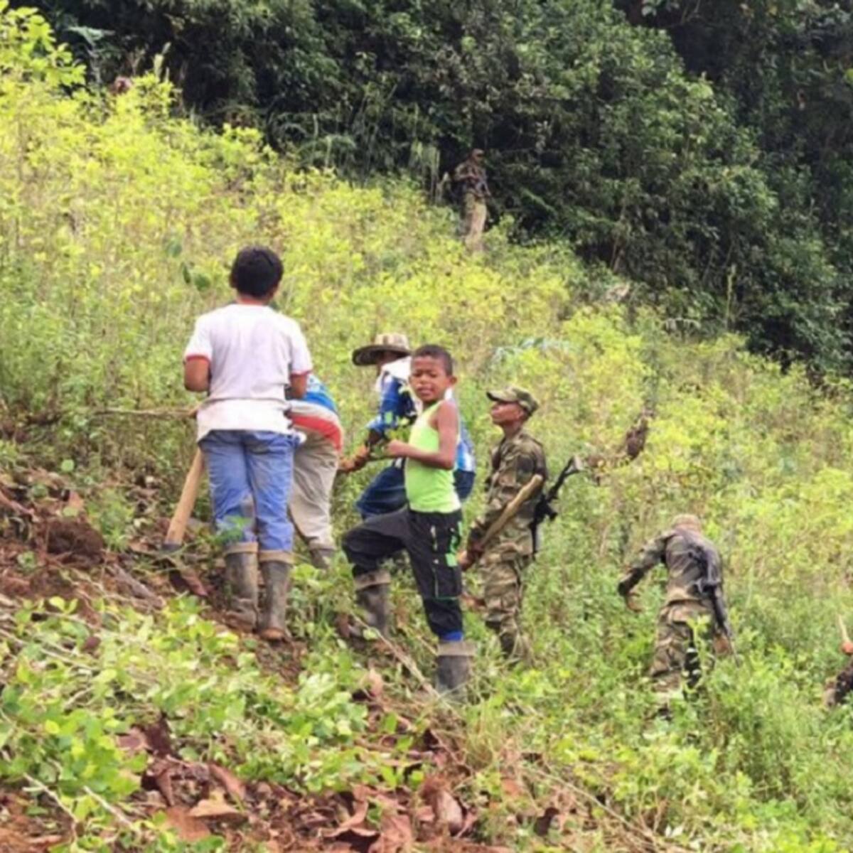 Denuncian incumplimientos en proyectos productivos del PNIS
