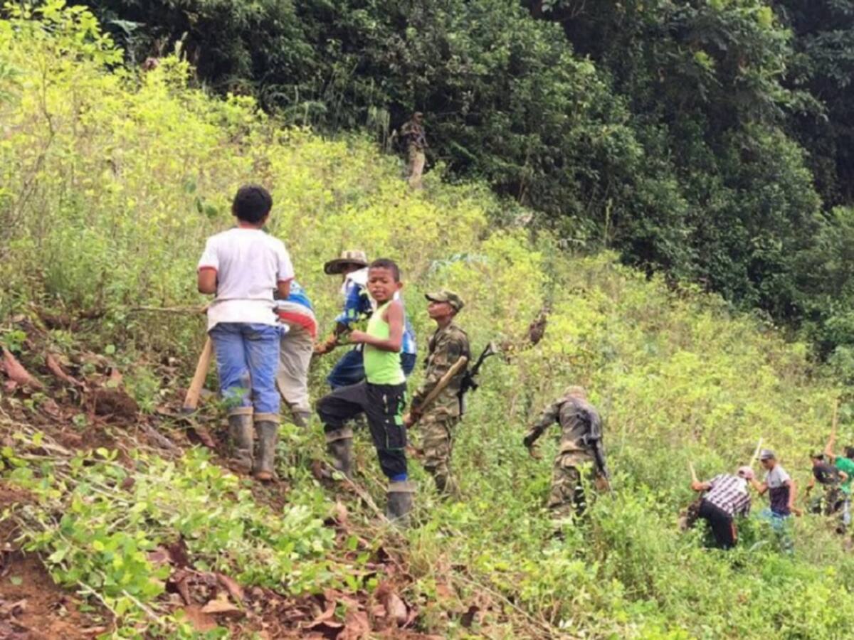 Denuncian incumplimientos en proyectos productivos del PNIS