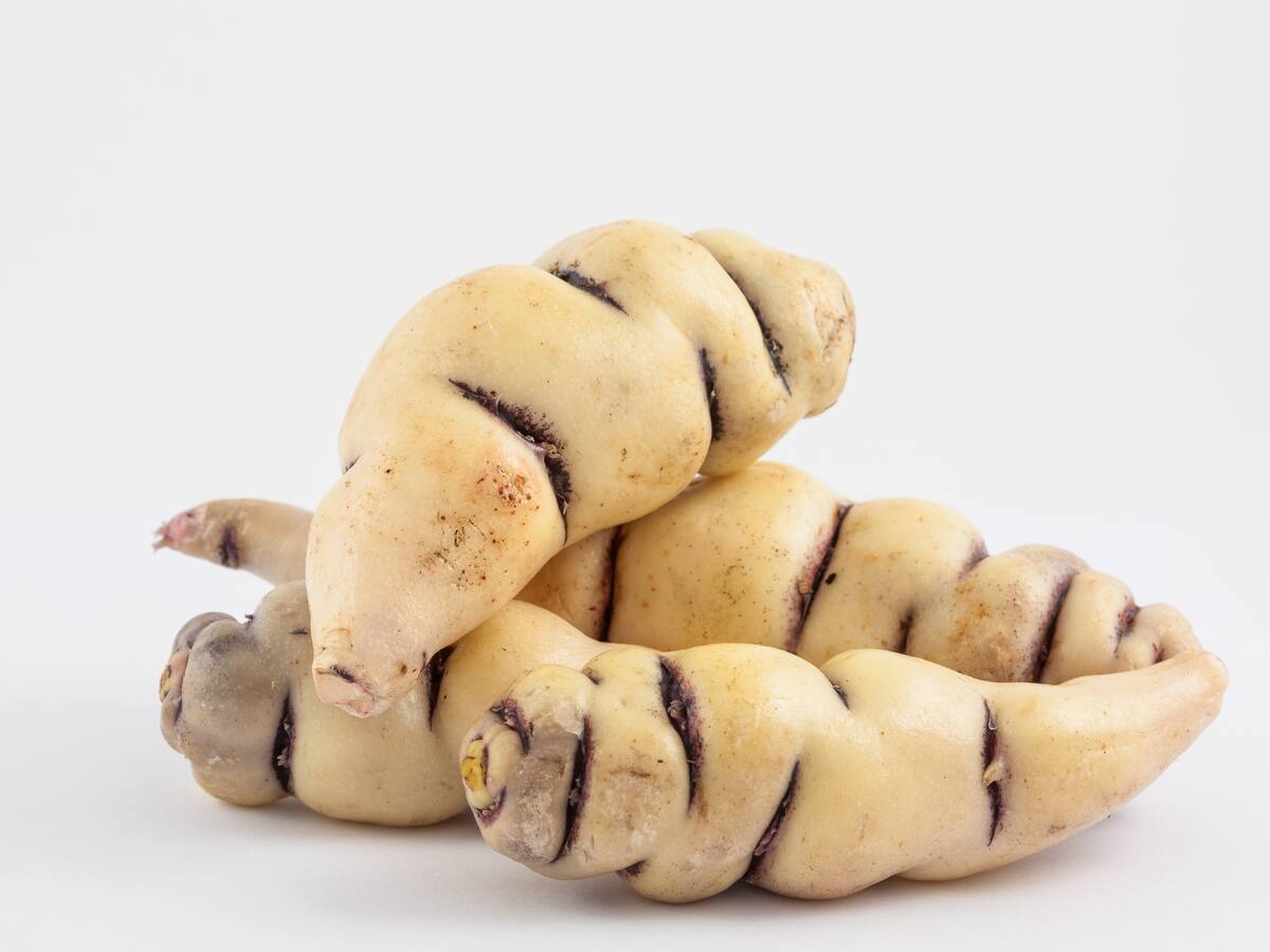 ¿Qué tan saludables son los cubios? Beneficios de comer este tubérculo