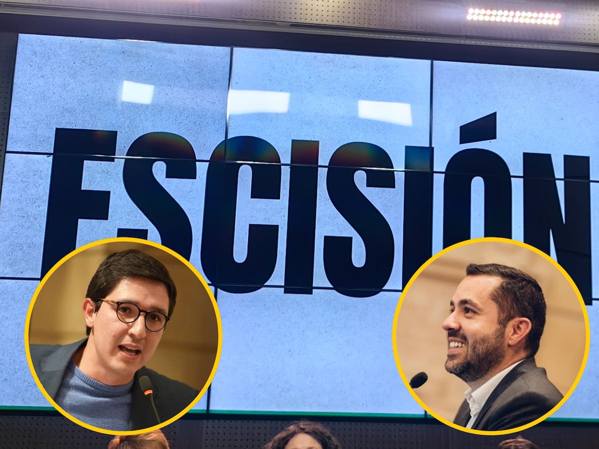 Así está el ambiente para aprobar la ruptura de la Alianza Verde: congresistas debaten