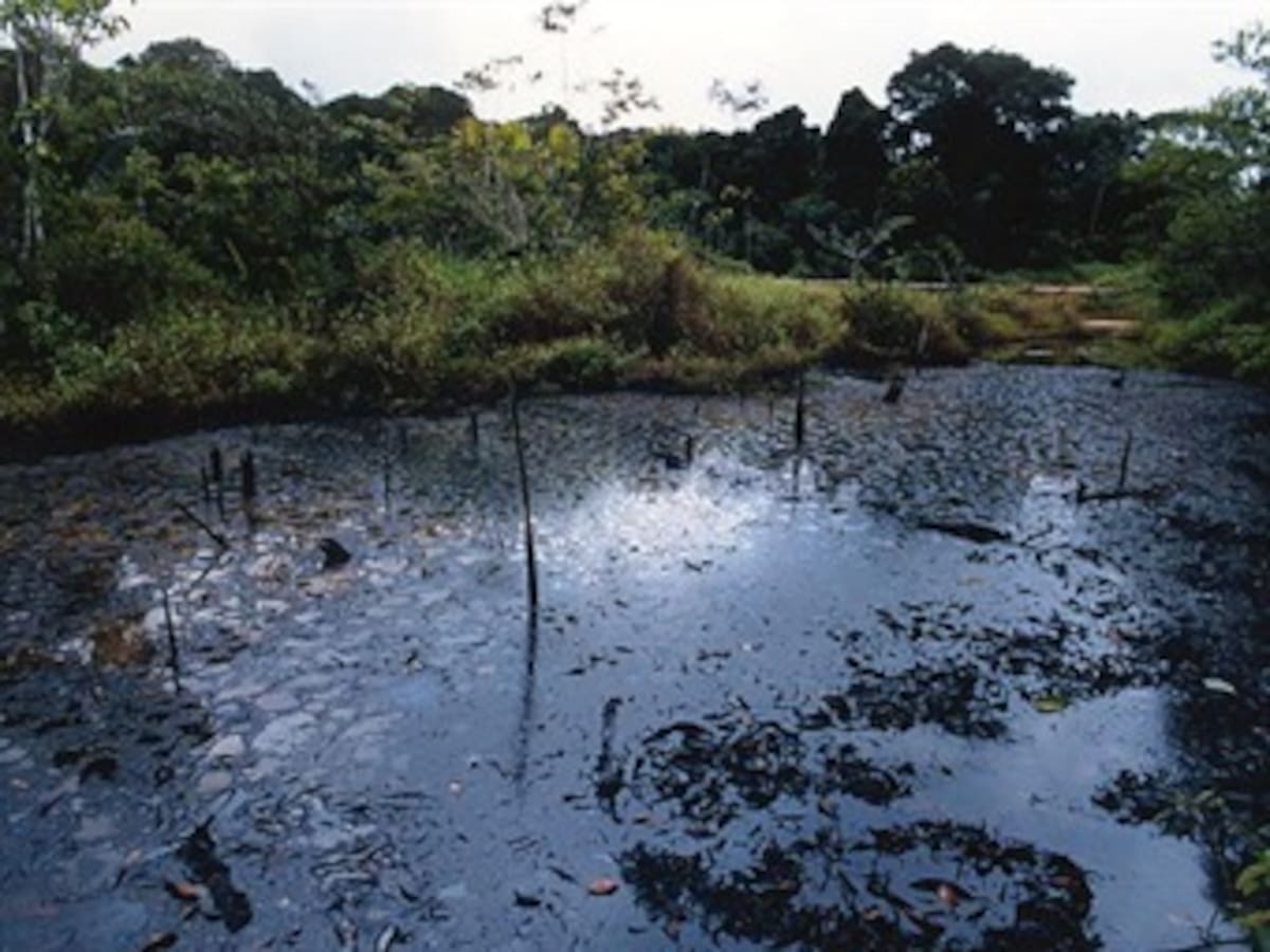Presentan cables de WikiLeaks sobre presión de Chevron en juicio ambiental