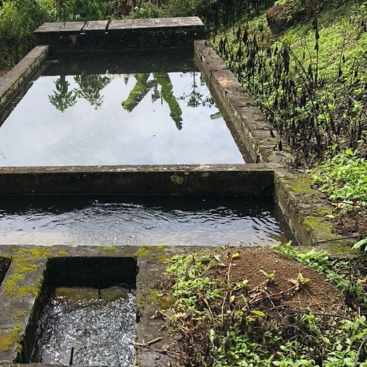 En Caldas invertirán $8.000 millones en agua potable y saneamiento básico
