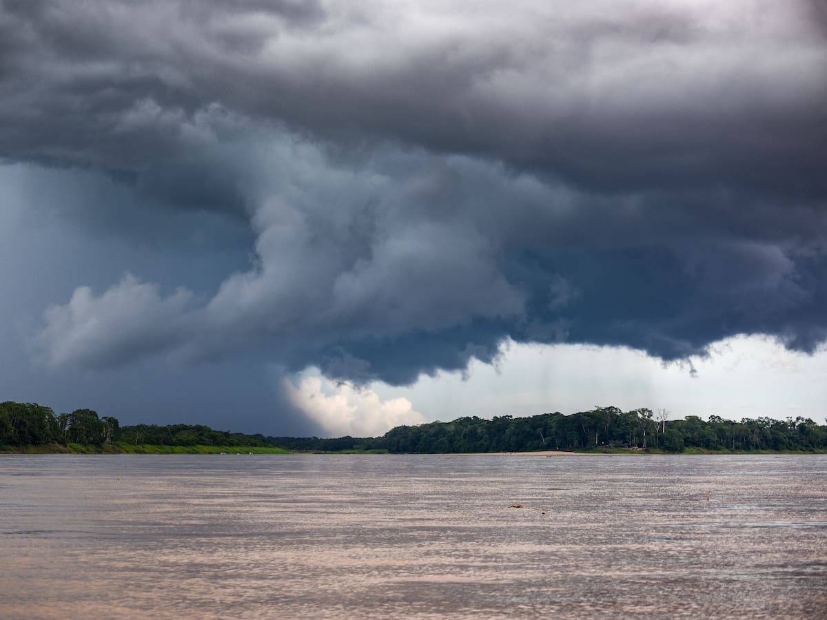 Este es el municipio más húmedo del Amazonas, según IA: temperatura supera los 25 °C