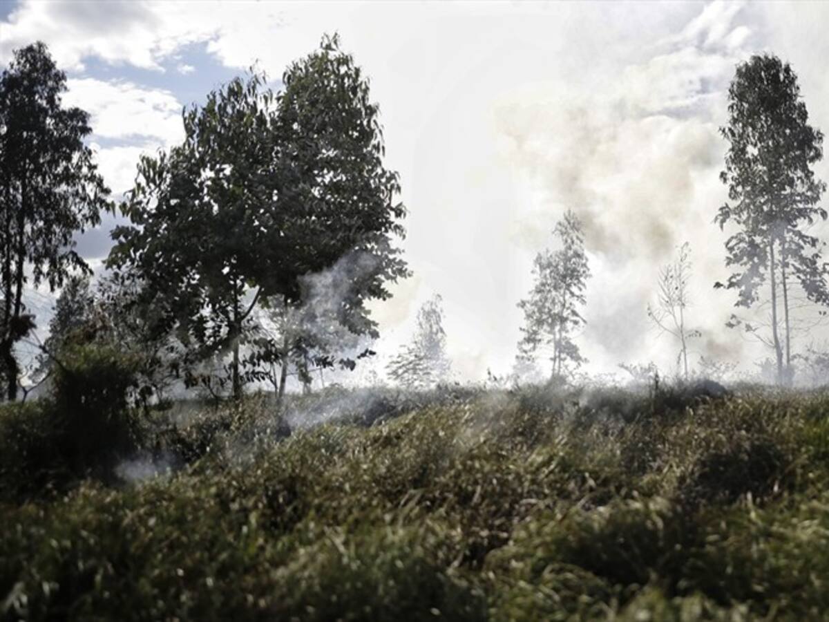 Tenemos incendios de cobertura vegetal: Carlos González