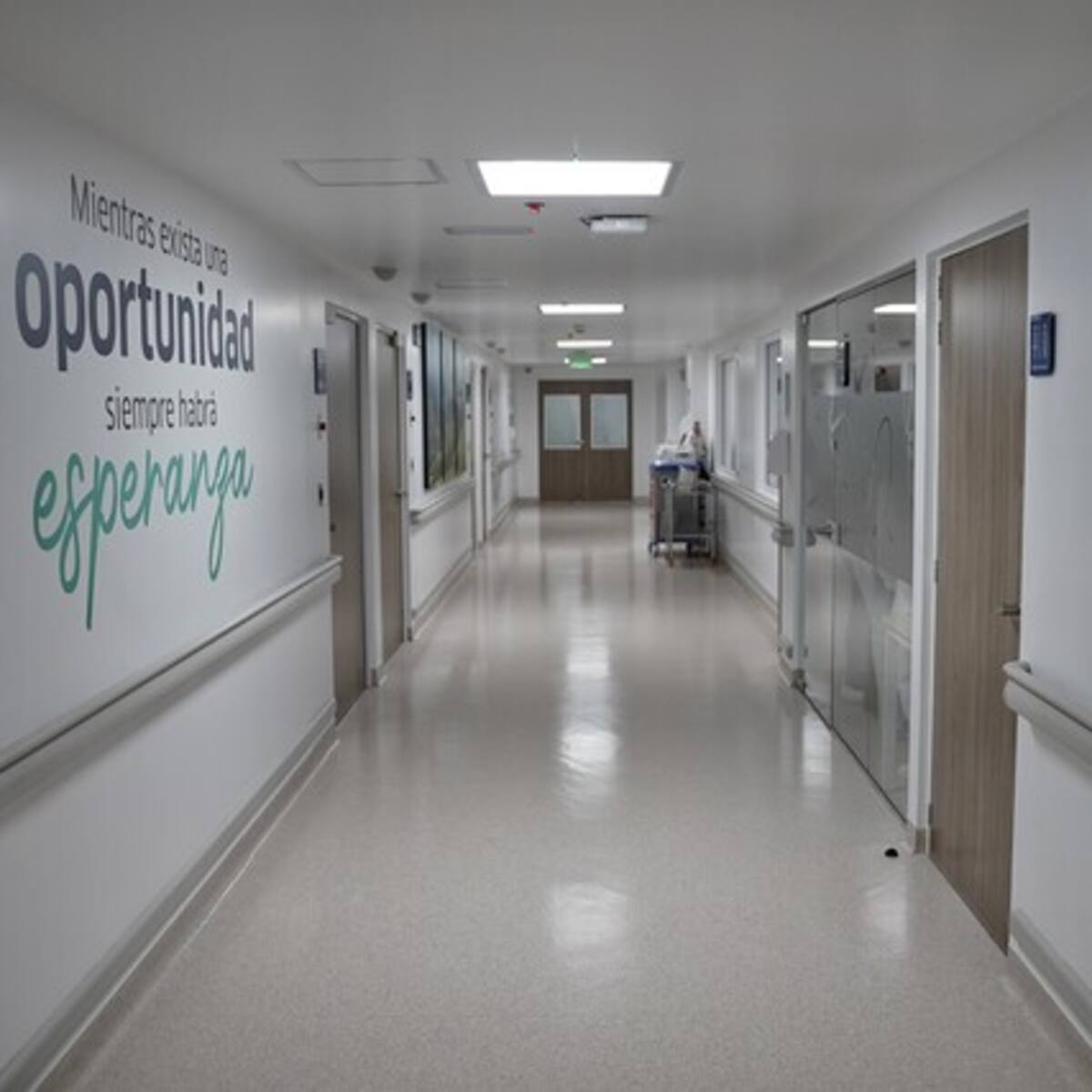 Crisis por cambio de modelo de salud de maestros: demoras en citas y falta de medicamentos