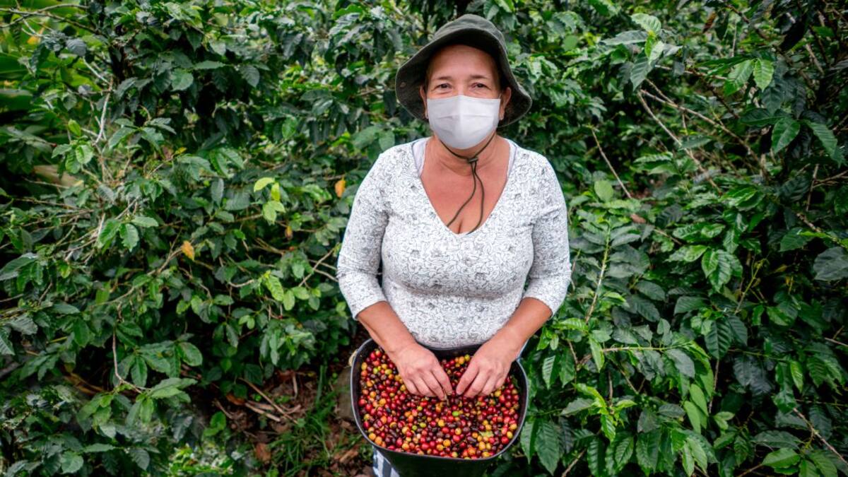 Mabel Manrique sobre proyecto de mujeres cafeteras