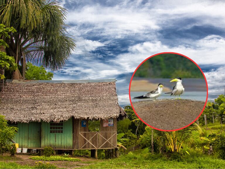 Parque Natural del Vichada - Casa de madera ubicada en el departamento (Colparques - Getty Images)