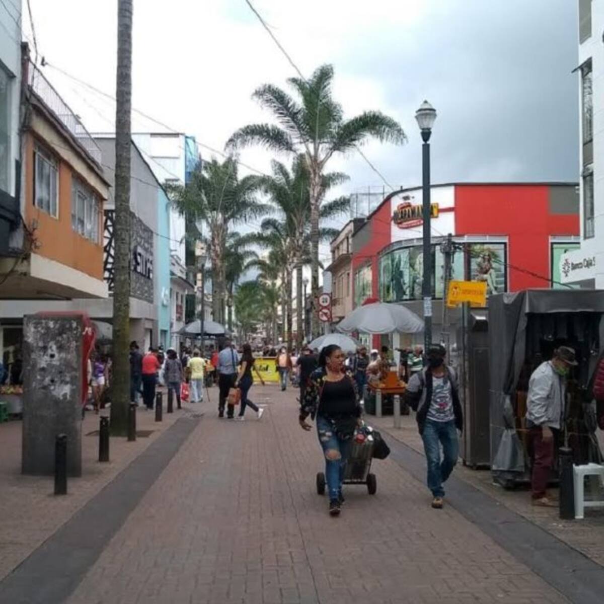 Se levanta el pico y cédula en Manizales por el Día sin IVA