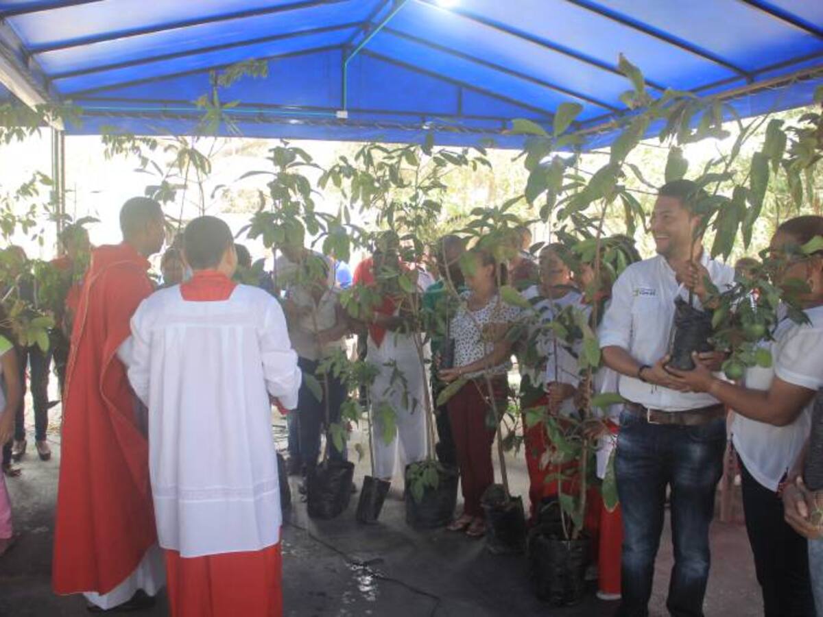 Se cumplió en Cartagena campaña “No arranques una rama, siembra un árbol”