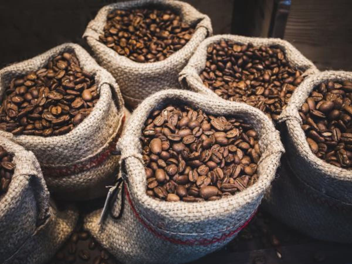 Cerca de 30 marcas de café del Valle representarán a la región en Cafés de Colombia Expo 2025