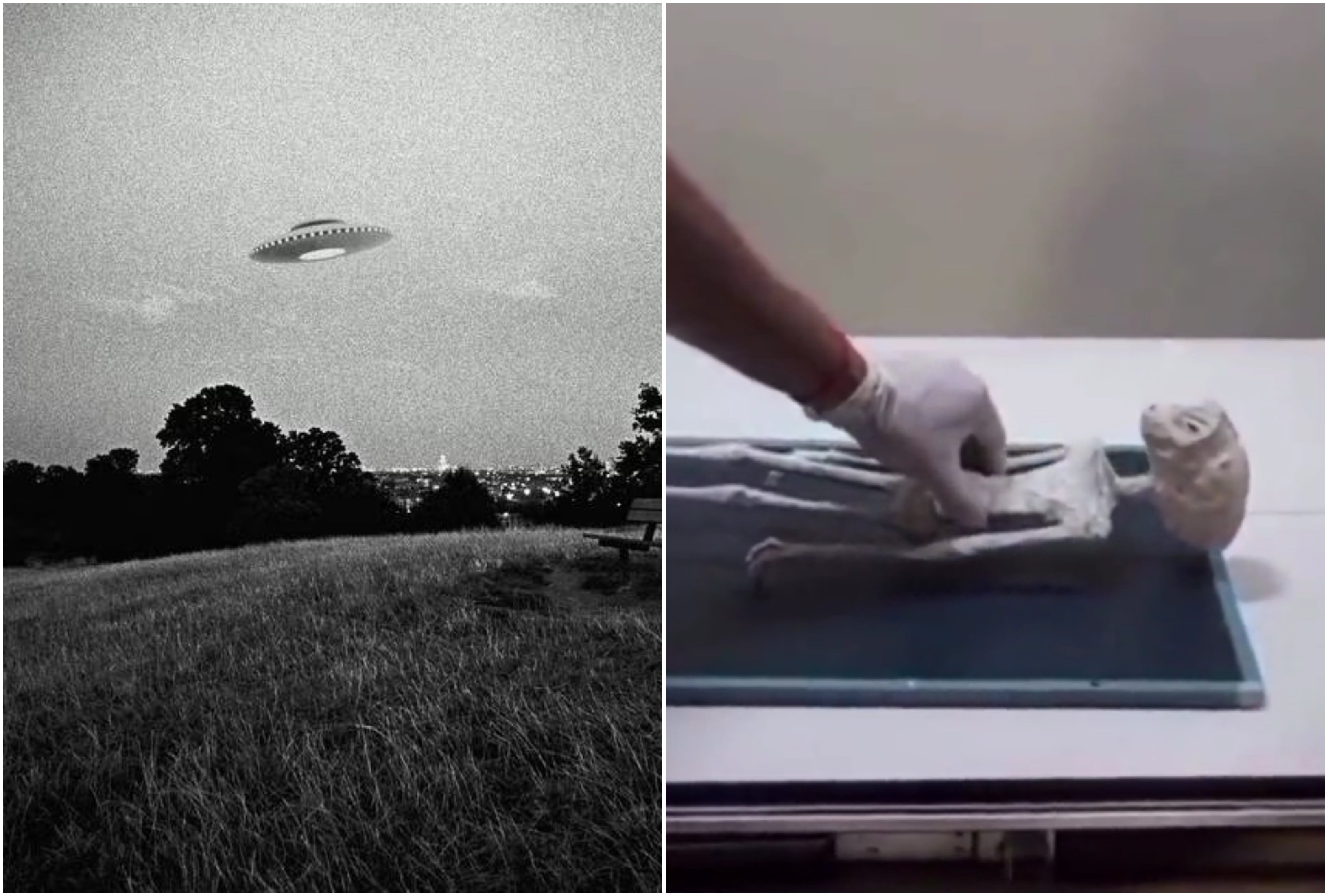 Vía Twitter Alerta Mundial y Getty Images.