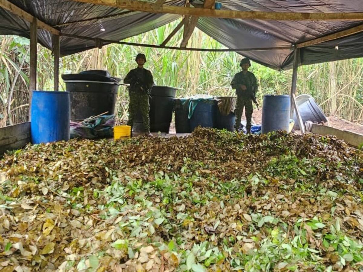 34 laboratorios para procesar droga destruidos en Nariño en el último mes