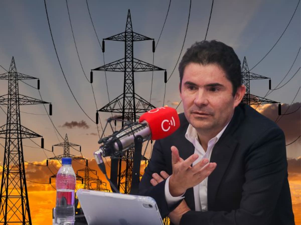 Se están tomando decisiones para que no nos apaguemos, pero el país no sabe del problema: Luis Henao