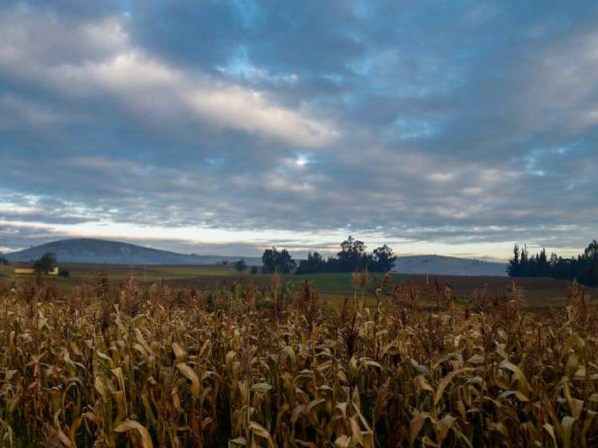 En Casanare Santos sancionará la polémica ley de Zidres
