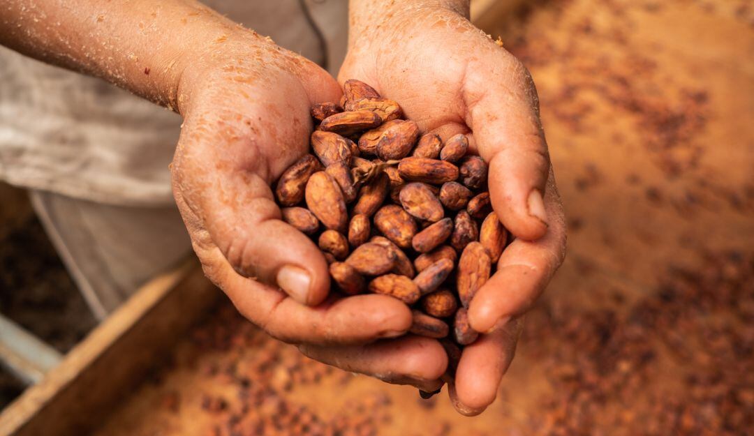 Cacao