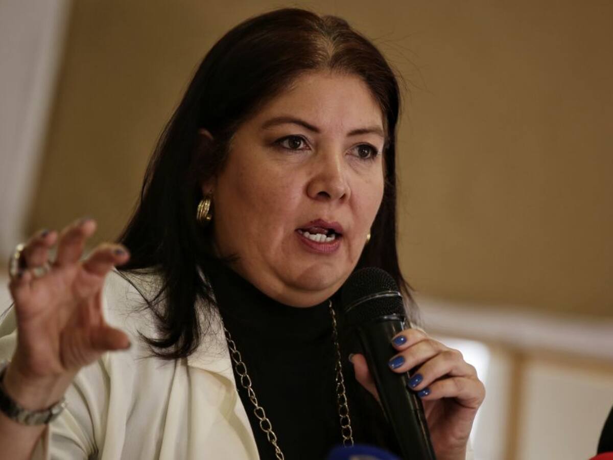 MOE: "Con trabajo en el Congreso se puede ajustar el código electoral"