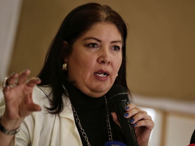 MOE: "Con trabajo en el Congreso se puede ajustar el código electoral"