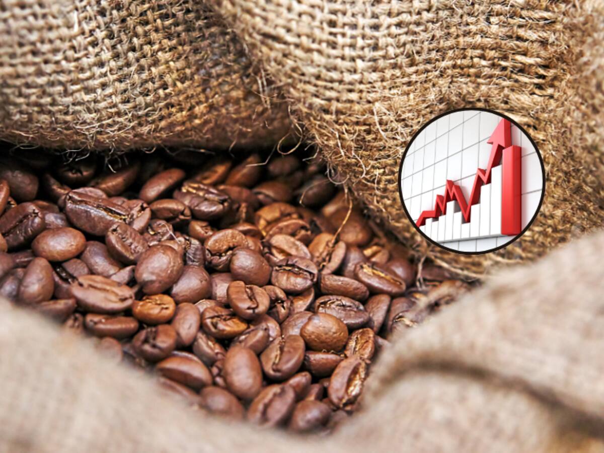 ¿Seguirá subiendo? Precio del café HOY, 28 de agosto: expertos analizan el comportamiento