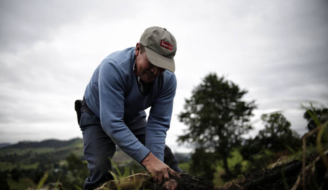 Ambientalistas colombianos. Foto: Colprensa. 