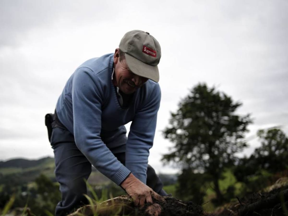 Referendo Campesino no fue posible y promotores no descartan segundo Round
