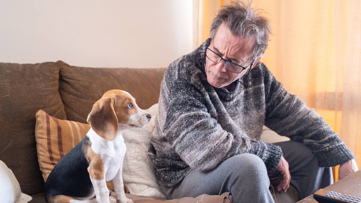 ¿Cuál es la forma correcta de regañar a un perro? Consejos y trucos de adiestradora