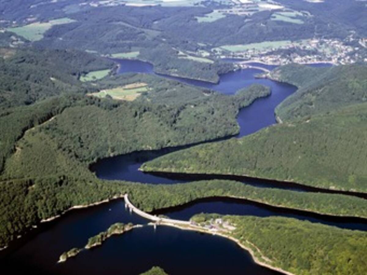 Empresa de minería mundial aportará 500 millones de dólares para polémica presa amazónica