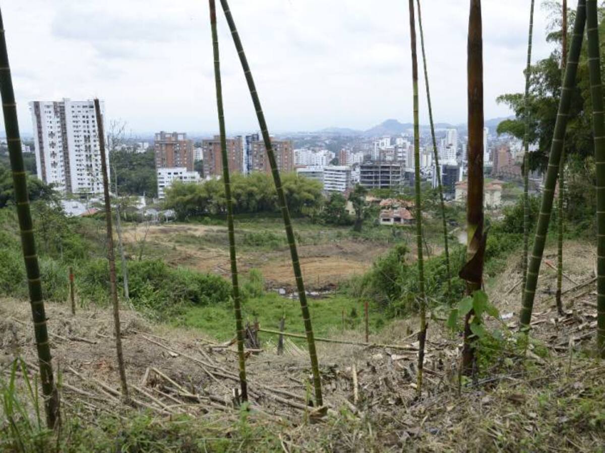 La Carder suspendió otra obra que estaba afectando el medio ambiente
