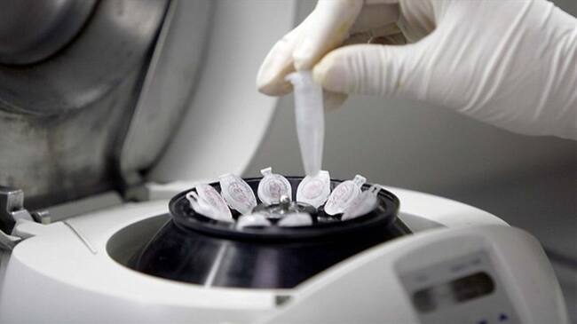 La ley que pretende buscar criminales a través de perfiles genéticos. Foto: Colprensa