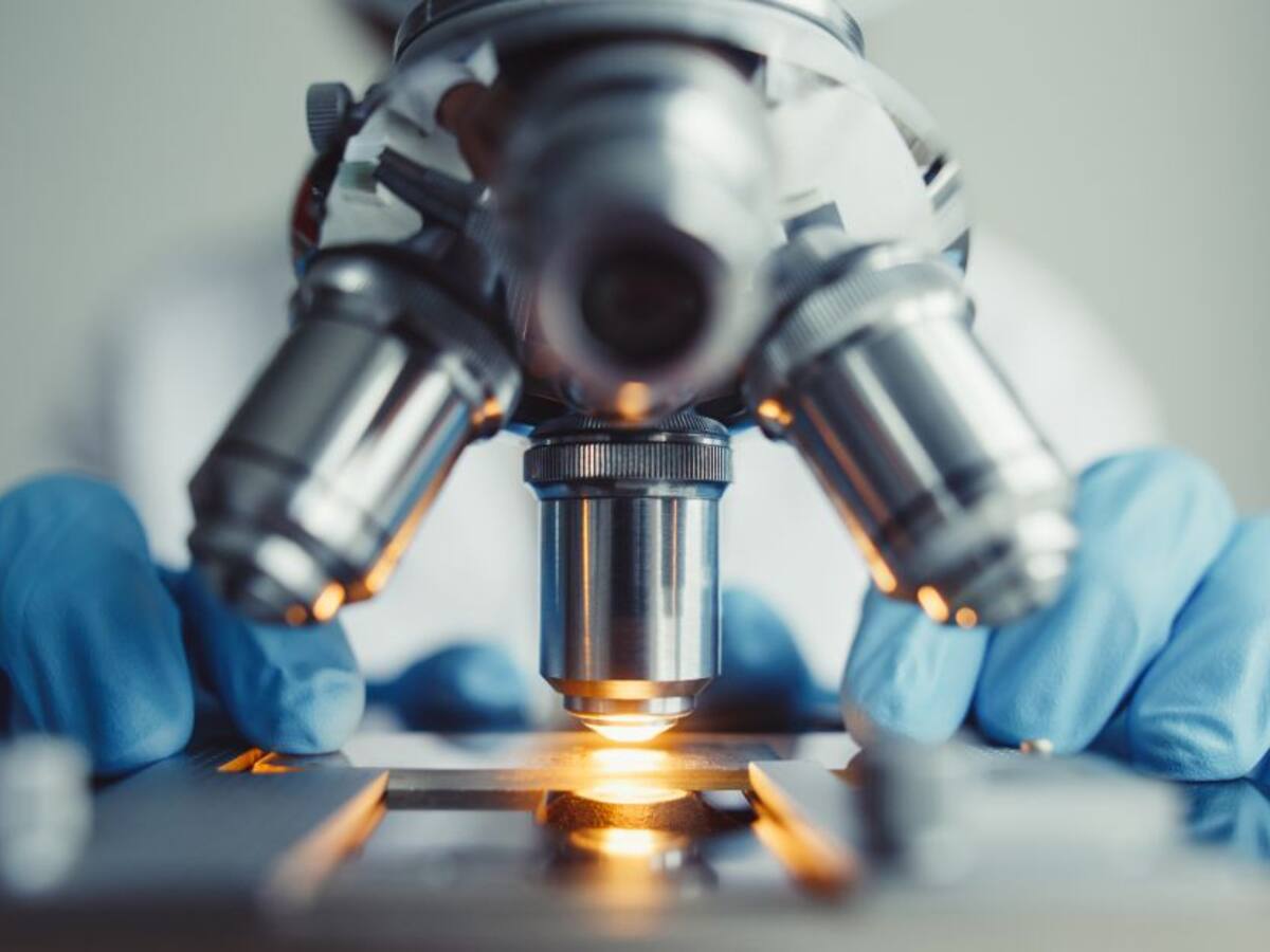 Avanza proyecto que “salva” el Ministerio de Ciencia